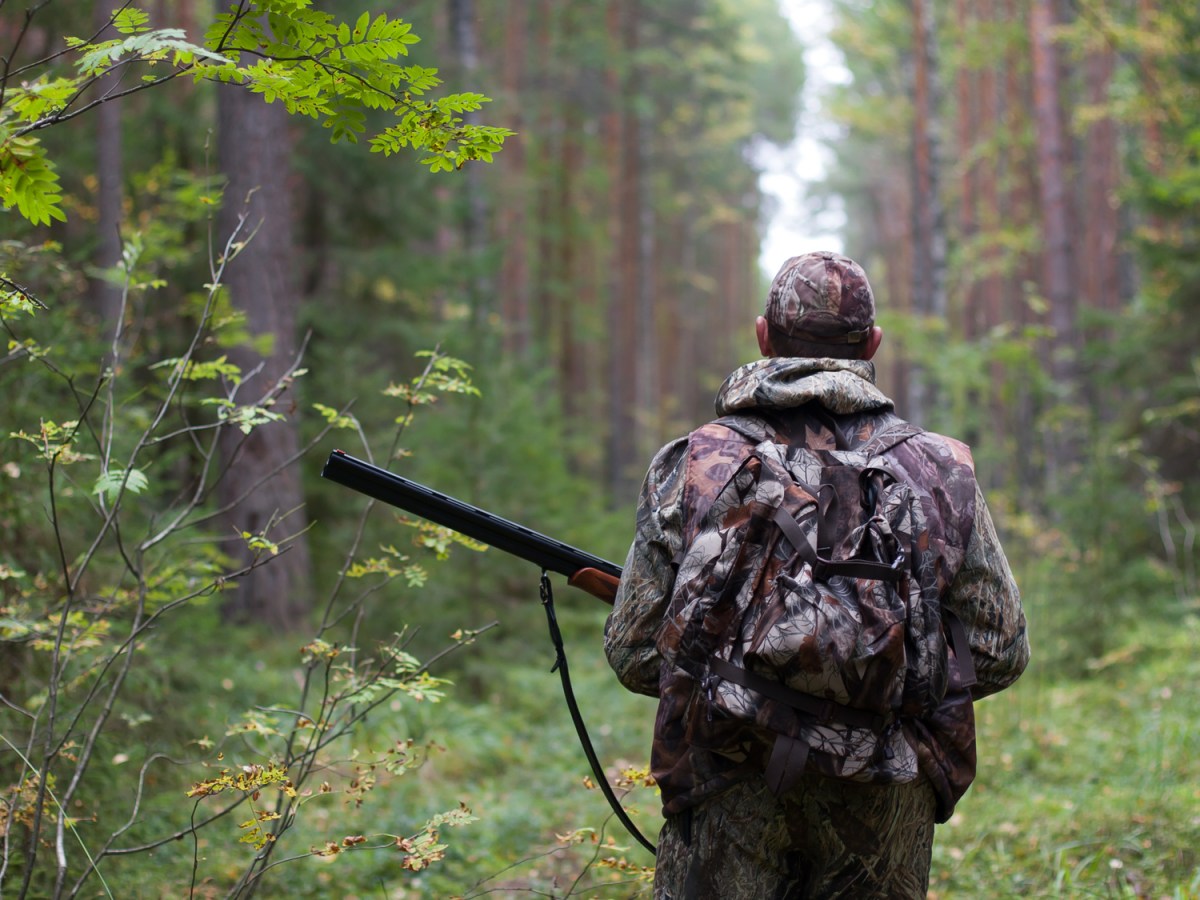 Hablemos de la caza V:&nbsp;Conclusión